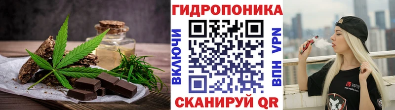 KRAKEN как войти  Красноармейск  Canna-Cookies марихуана  цены наркотик 