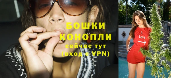 твердый Карпинск