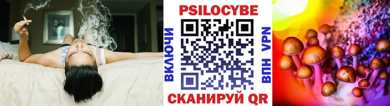 Псилоцибиновые грибы Cubensis  купить  цена  Красноармейск 